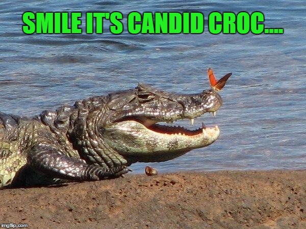 SMILE IT'S CANDID CROC.... | made w/ Imgflip meme maker