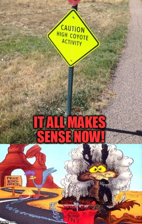 Yes, this picture was taken in Colorado! | IT ALL MAKES SENSE NOW! | image tagged in wile e coyote,high | made w/ Imgflip meme maker