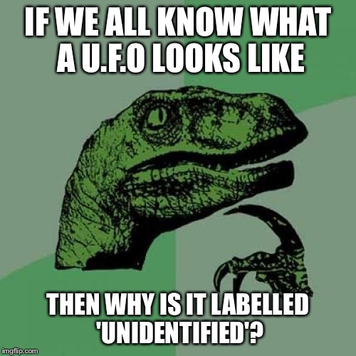 It's out there (maybe) | IF WE ALL KNOW WHAT A U.F.O LOOKS LIKE; THEN WHY IS IT LABELLED 'UNIDENTIFIED'? | image tagged in memes,philosoraptor,ufo,ancient aliens,confusion,x files | made w/ Imgflip meme maker