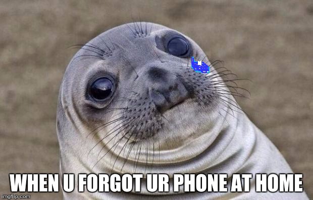 Awkward Moment Sealion | WHEN U FORGOT UR PHONE AT HOME | image tagged in memes,awkward moment sealion | made w/ Imgflip meme maker