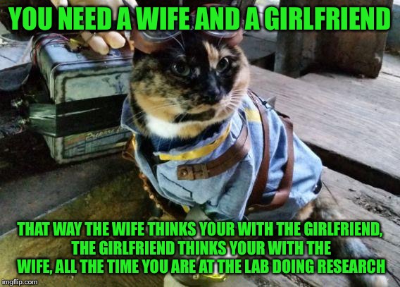 Fallout RayCat | YOU NEED A WIFE AND A GIRLFRIEND; THAT WAY THE WIFE THINKS YOUR WITH THE GIRLFRIEND, THE GIRLFRIEND THINKS YOUR WITH THE WIFE, ALL THE TIME YOU ARE AT THE LAB DOING RESEARCH | image tagged in fallout raycat | made w/ Imgflip meme maker