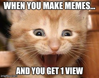 Excited Cat Meme | WHEN YOU MAKE MEMES... AND YOU GET 1 VIEW | image tagged in memes,excited cat | made w/ Imgflip meme maker