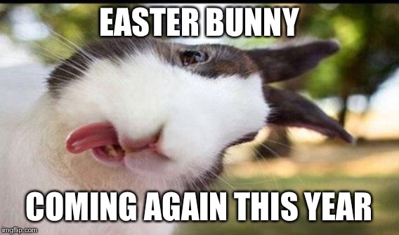 EASTER BUNNY COMING AGAIN THIS YEAR | made w/ Imgflip meme maker