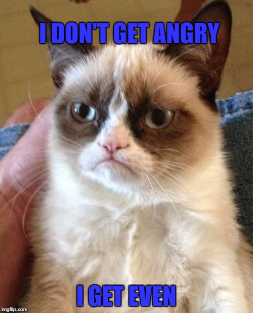 Grumpy Cat Meme | I DON'T GET ANGRY I GET EVEN | image tagged in memes,grumpy cat | made w/ Imgflip meme maker