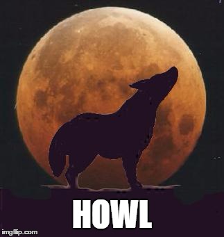 HOWL | made w/ Imgflip meme maker