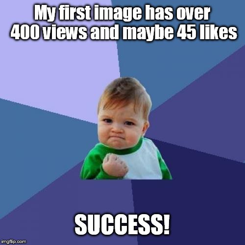Beginners Luck(if you check my profile now it's true) | My first image has over 400 views and maybe 45 likes; SUCCESS! | image tagged in memes,success kid | made w/ Imgflip meme maker