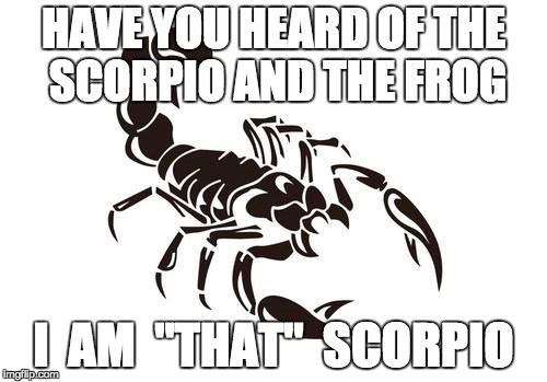 sting i do | HAVE YOU HEARD OF THE SCORPIO AND THE FROG; I  AM  "THAT"  SCORPIO | image tagged in y u no,lol,joker | made w/ Imgflip meme maker