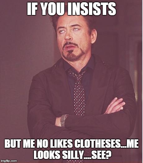 Face You Make Robert Downey Jr Meme | IF YOU INSISTS BUT ME NO LIKES CLOTHESES...ME LOOKS SILLY....SEE? | image tagged in memes,face you make robert downey jr | made w/ Imgflip meme maker