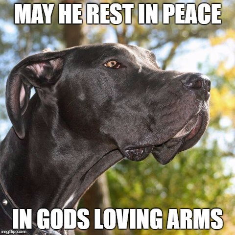 MAY HE REST IN PEACE IN GODS LOVING ARMS | made w/ Imgflip meme maker