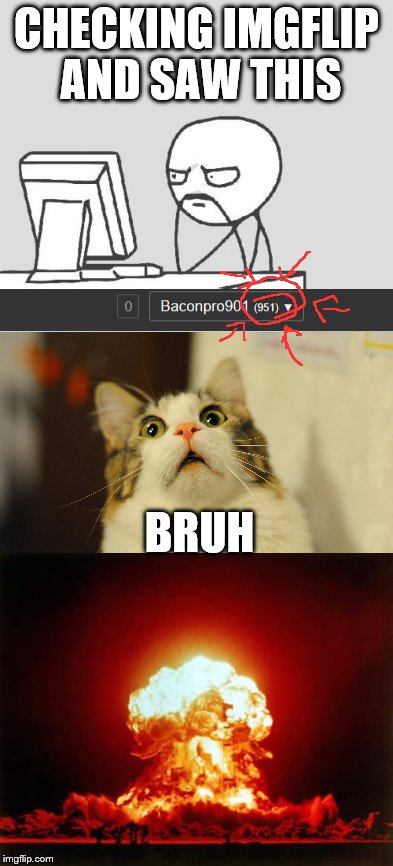 Abomination in one day!  | CHECKING IMGFLIP AND SAW THIS; BRUH | image tagged in shocked cat,funny,memes,computer guy | made w/ Imgflip meme maker