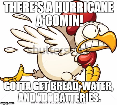 chicken panic | THERE'S A HURRICANE A'COMIN! GOTTA GET BREAD, WATER, AND "D" BATTERIES. | image tagged in chicken panic | made w/ Imgflip meme maker