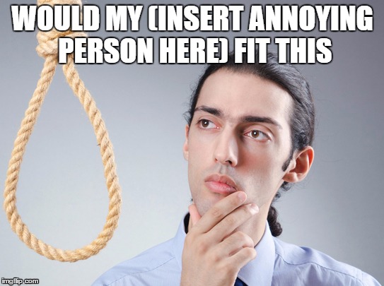 noose | WOULD MY (INSERT ANNOYING PERSON HERE) FIT THIS | image tagged in noose | made w/ Imgflip meme maker