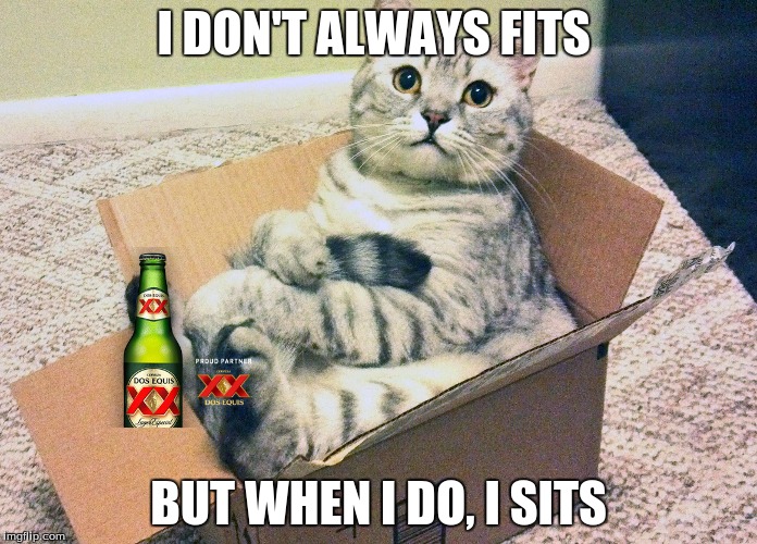 I DON'T ALWAYS FITS; BUT WHEN I DO, I SITS | image tagged in the most interesting man in the world | made w/ Imgflip meme maker