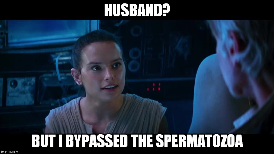 TW TFA Bypass the blank | HUSBAND? BUT I BYPASSED THE SPERMATOZOA | image tagged in tw tfa bypass the blank | made w/ Imgflip meme maker