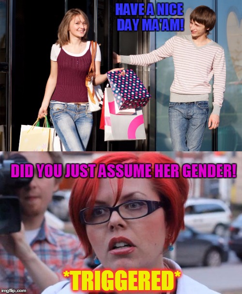 Y U DO THAT, ITS OFFENSIVE- Angry Liberal | HAVE A NICE DAY MA'AM! DID YOU JUST ASSUME HER GENDER! *TRIGGERED* | image tagged in angry liberal | made w/ Imgflip meme maker