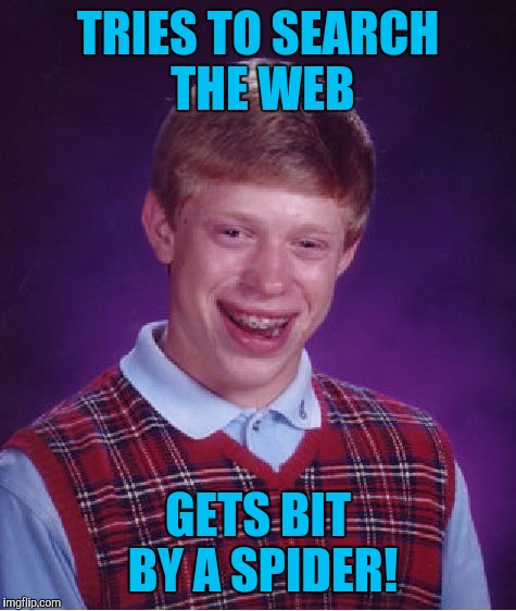 Black widow bites hurt like hell! | TRIES TO SEARCH THE WEB; GETS BIT BY A SPIDER! | image tagged in memes,bad luck brian | made w/ Imgflip meme maker