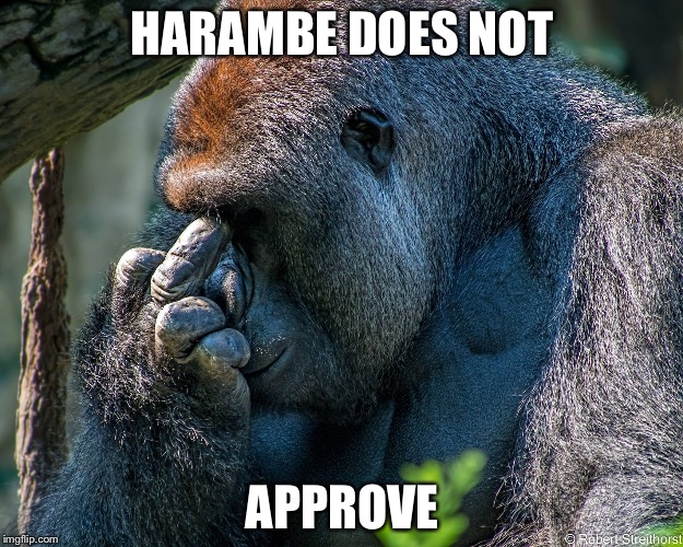 Harambe Middle Finger | HARAMBE DOES NOT; APPROVE | image tagged in harambe middle finger | made w/ Imgflip meme maker