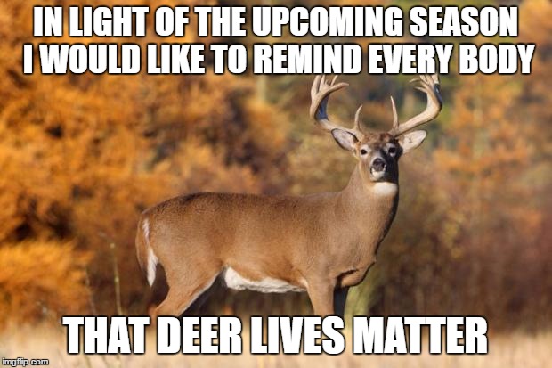 whitetail deer | IN LIGHT OF THE UPCOMING SEASON I WOULD LIKE TO REMIND EVERY BODY; THAT DEER LIVES MATTER | image tagged in whitetail deer | made w/ Imgflip meme maker