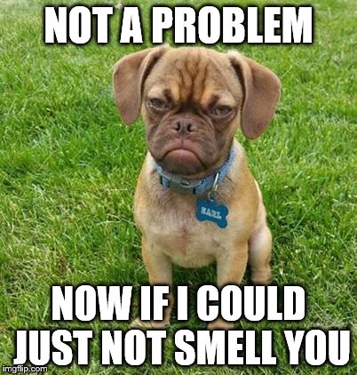 NOT A PROBLEM NOW IF I COULD JUST NOT SMELL YOU | made w/ Imgflip meme maker