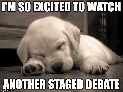 Another staged debate | I'M SO EXCITED TO WATCH; ANOTHER STAGED DEBATE | image tagged in sleepy puppy,so excited,debate,boring | made w/ Imgflip meme maker