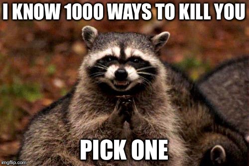Evil Plotting Raccoon Meme | I KNOW 1000 WAYS TO KILL YOU; PICK ONE | image tagged in memes,evil plotting raccoon | made w/ Imgflip meme maker