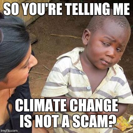 The biggest scam ever recorded | SO YOU'RE TELLING ME; CLIMATE CHANGE IS NOT A SCAM? | image tagged in memes,third world skeptical kid | made w/ Imgflip meme maker