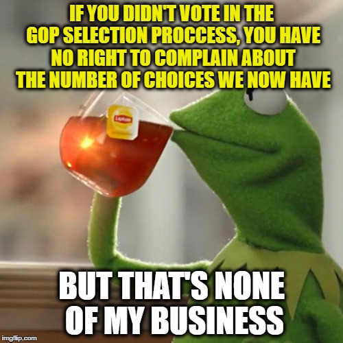 We had 17 Republicans and 6 Democrats (not to mention third party candidates) to choose from.  #ThanksForNotVoting | IF YOU DIDN'T VOTE IN THE GOP SELECTION PROCCESS, YOU HAVE NO RIGHT TO COMPLAIN ABOUT THE NUMBER OF CHOICES WE NOW HAVE; BUT THAT'S NONE OF MY BUSINESS | image tagged in memes,but thats none of my business,kermit the frog | made w/ Imgflip meme maker