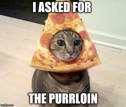 pizza cat | I ASKED FOR; THE PURRLOIN | image tagged in pizza cat | made w/ Imgflip meme maker