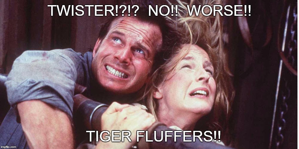 twister tiger fluffers | TWISTER!?!? 
NO!!  WORSE!! TIGER FLUFFERS!! | image tagged in tiger,pga,golf,tiger woods,pga tour,twister | made w/ Imgflip meme maker