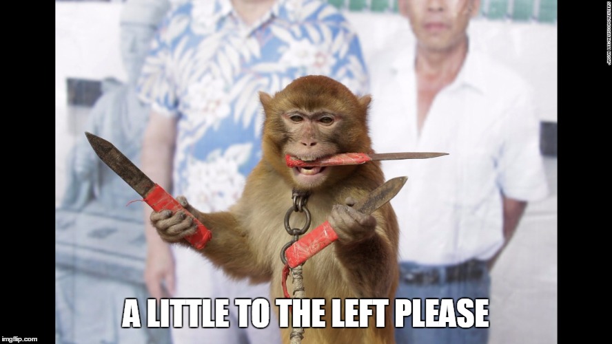 Monkey with Knives | A LITTLE TO THE LEFT PLEASE | image tagged in monkey with knives | made w/ Imgflip meme maker