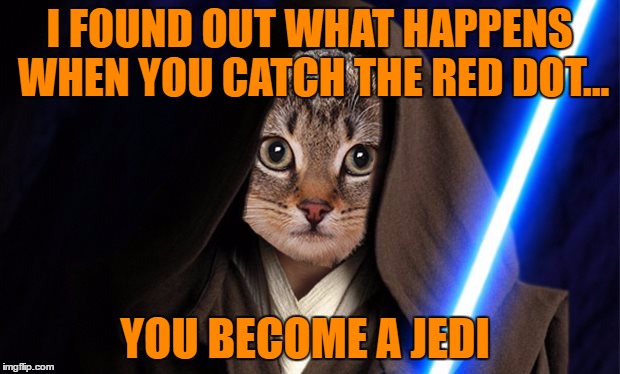 A rare glimpse at The_Lapsed_Jedi's cat. He is my 2nd place contest winner!  | I FOUND OUT WHAT HAPPENS WHEN YOU CATCH THE RED DOT... YOU BECOME A JEDI | image tagged in memes,lol | made w/ Imgflip meme maker