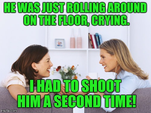Women talking | HE WAS JUST ROLLING AROUND ON THE FLOOR, CRYING. I HAD TO SHOOT HIM A SECOND TIME! | image tagged in women talking | made w/ Imgflip meme maker