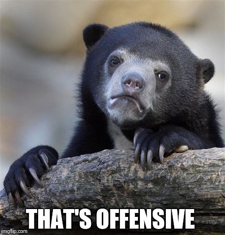 Confession Bear Meme | THAT'S OFFENSIVE | image tagged in memes,confession bear | made w/ Imgflip meme maker