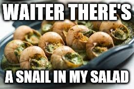 WAITER THERE'S A SNAIL IN MY SALAD | made w/ Imgflip meme maker