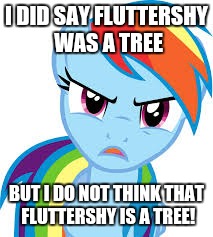 Angry Rainbow Dash | I DID SAY FLUTTERSHY WAS A TREE BUT I DO NOT THINK THAT FLUTTERSHY IS A TREE! | image tagged in angry rainbow dash | made w/ Imgflip meme maker