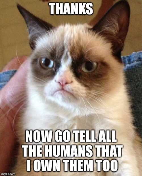 Grumpy Cat Meme | THANKS NOW GO TELL ALL THE HUMANS THAT I OWN THEM TOO | image tagged in memes,grumpy cat | made w/ Imgflip meme maker