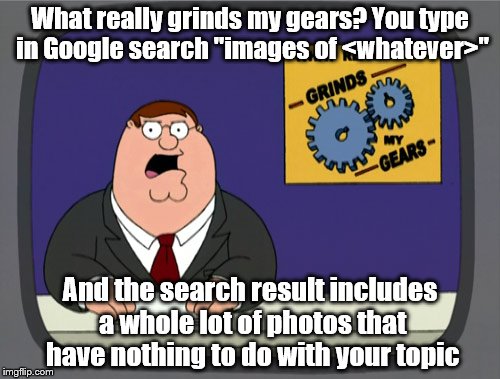 Google photo seach sux. | What really grinds my gears? You type in Google search "images of <whatever>"; And the search result includes a whole lot of photos that have nothing to do with your topic | image tagged in memes,peter griffin news | made w/ Imgflip meme maker