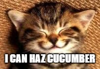Kitty smile  | I CAN HAZ CUCUMBER | image tagged in kitty smile | made w/ Imgflip meme maker