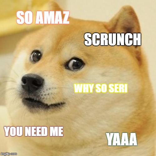 Doge | SO AMAZ; SCRUNCH; WHY SO SERI; YOU NEED ME; YAAA | image tagged in memes,doge | made w/ Imgflip meme maker