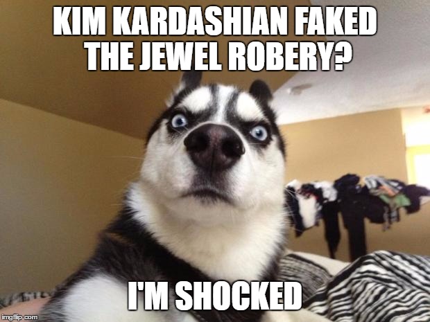 Shocked dog | KIM KARDASHIAN FAKED THE JEWEL ROBERY? I'M SHOCKED | image tagged in shocked dog | made w/ Imgflip meme maker