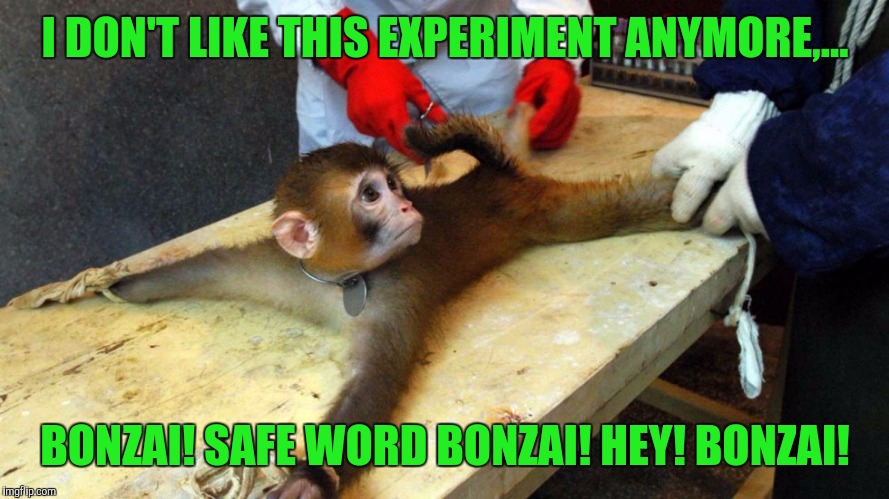 I DON'T LIKE THIS EXPERIMENT ANYMORE,... BONZAI! SAFE WORD BONZAI! HEY! BONZAI! | made w/ Imgflip meme maker