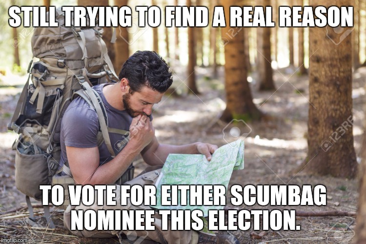 At a loss for reasons | STILL TRYING TO FIND A REAL REASON; TO VOTE FOR EITHER SCUMBAG NOMINEE THIS ELECTION. | image tagged in lost in the woods | made w/ Imgflip meme maker