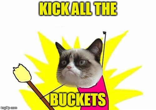 X All The Y Meme | KICK ALL THE BUCKETS | image tagged in memes,x all the y | made w/ Imgflip meme maker