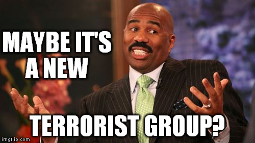 Steve Harvey Meme | MAYBE IT'S A NEW TERRORIST GROUP? | image tagged in memes,steve harvey | made w/ Imgflip meme maker