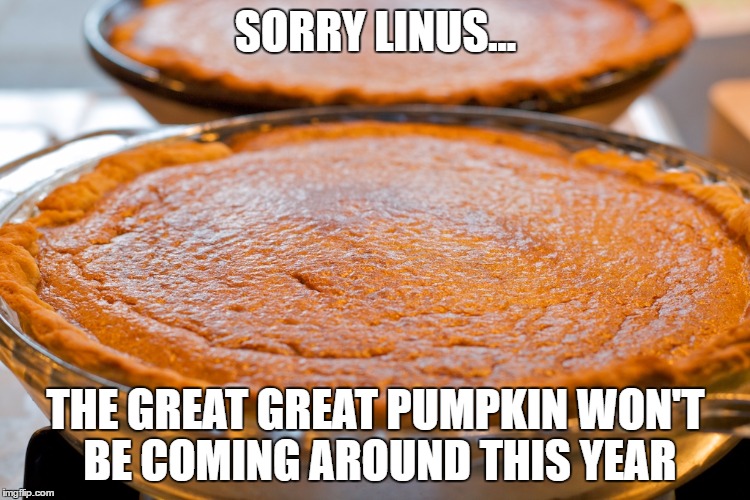The Great Pumpkin | SORRY LINUS... THE GREAT GREAT PUMPKIN WON'T BE COMING AROUND THIS YEAR | image tagged in charlie brown,the great pumpkin,linus,the great pumpkin patch,great pumpkin,pumpkins | made w/ Imgflip meme maker