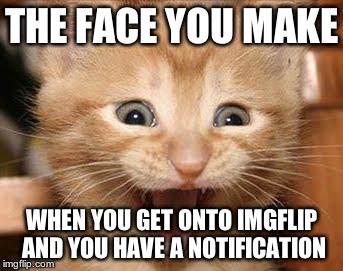 I leap for joy | THE FACE YOU MAKE; WHEN YOU GET ONTO IMGFLIP AND YOU HAVE A NOTIFICATION | image tagged in memes,excited cat | made w/ Imgflip meme maker