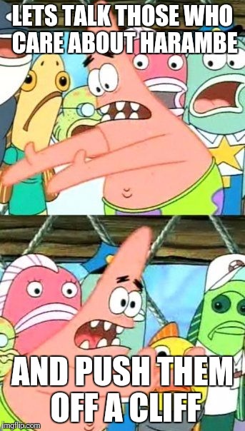 Put It Somewhere Else Patrick | LETS TALK THOSE WHO CARE ABOUT HARAMBE; AND PUSH THEM OFF A CLIFF | image tagged in memes,put it somewhere else patrick | made w/ Imgflip meme maker