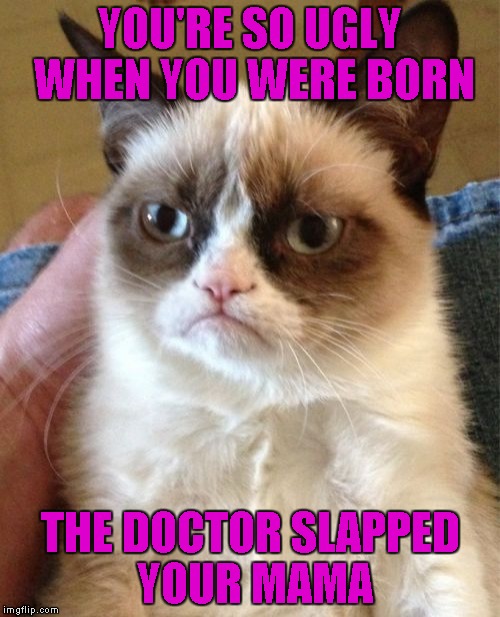 Grumpy Cat Meme | YOU'RE SO UGLY WHEN YOU WERE BORN; THE DOCTOR SLAPPED YOUR MAMA | image tagged in memes,grumpy cat | made w/ Imgflip meme maker