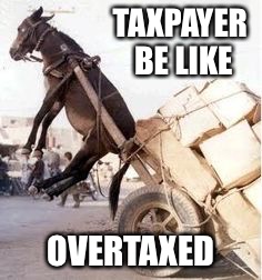 Overloaded donkey | TAXPAYER BE LIKE; OVERTAXED | image tagged in overloaded donkey | made w/ Imgflip meme maker
