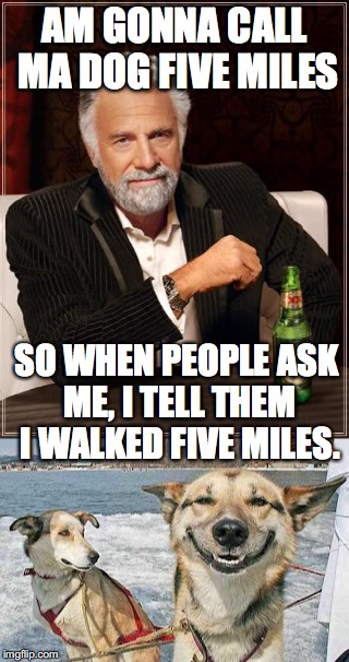 lol | AM GONNA CALL MA DOG FIVE MILES; SO WHEN PEOPLE ASK ME, I TELL THEM I WALKED FIVE MILES. | image tagged in dog | made w/ Imgflip meme maker